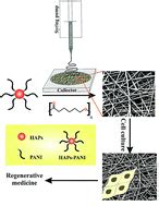 Ulfat-A-Based Biocompatible Scaffolds！Revolutionizing Regenerative Medicine with Novel Material Innovations