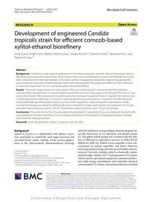  Xylitol 高效生物基材料革新應用！