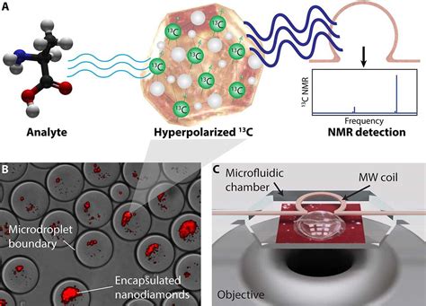   diamond nanoparticles 高效催化劑與生物醫學成像！