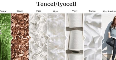  Tencel®：Revolutionizing Sustainable Textile Solutions！